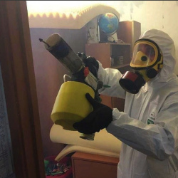 Уничтожение клопов в квартире. Заозерный